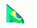 bRAZIL emote