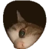 catPeek emote