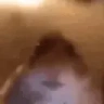 WeirdChamp emote