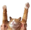 HOORAY emote