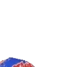 vp emote