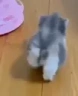 catLeave emote