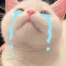 SadPag emote