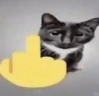 CatFinger emote