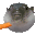 pufferfishAUGH