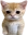 catUnpleased