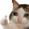 sadOk emote