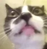 asd emote