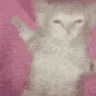 chilling emote