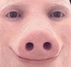 JohnPork emote
