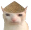 ChineseCat emote