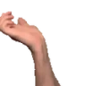 ziqoClapL emote
