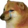 sadDoge emote