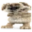 ben
