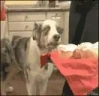 PTSD emote