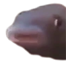 pisaMMMM emote