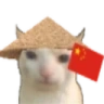 ChinaCat emote