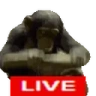 GOLIVE emote