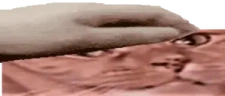 PetTheSquishedLuna emote