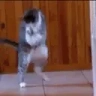 HECOOKIN emote