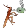 roachTeaTime emote