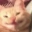 smileCat