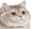 HeavyBreathing emote