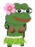 hulaPls emote