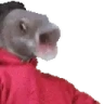 OOOBANG emote