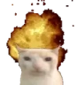 HOLYSHIT emote