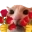 catRoses