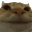 no