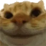 Sisi emote