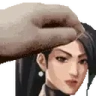 PETTHESAGE emote