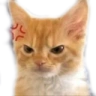 alyangry emote