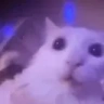IveGonePastThePointOfInsanity emote