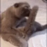 koklick emote