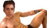 shahz emote