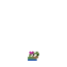 hailey emote