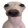 Hola emote