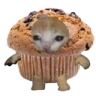 MuffinCat emote