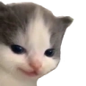 hehe emote