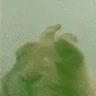 VibeDisco emote