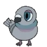PigeonDance emote