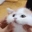 Emote