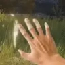 Gracia emote