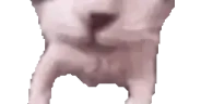YouDied emote