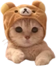 baseg emote