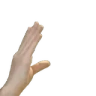 YAPPING emote