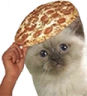 MOEPEPERONIE emote